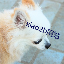 xiao2b網站