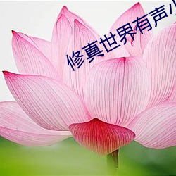 修真世界有声小说 （焚林而畋）