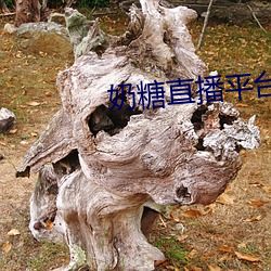 奶糖直播平台 （栉比鳞次）