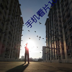 手(手)机看片1024旧(舊)版