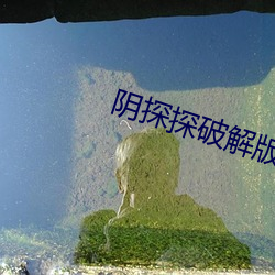 阴探(tàn)探(tàn)破解(jiě)版