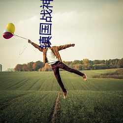 鎮國戰神楊辰