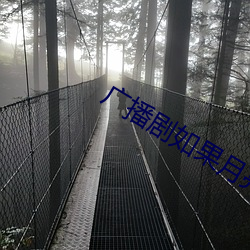 广(廣)播剧如果月亮不(不)抱你(你)免费听