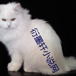 金年会 | 诚信至上金字招牌