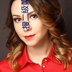 搜二(èr)級黃(huáng)片