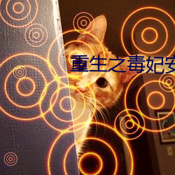 重生之毒妃安锦绣