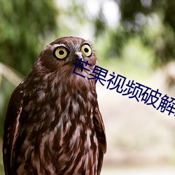 芒果視頻破解版