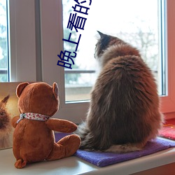 晚上看的直播软件