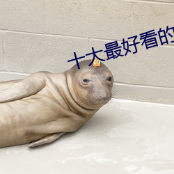 十大最好看的现(xiàn)代美剧