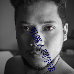 机器人阿尔法