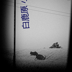 白鹿原 小说 （鹿车共挽）