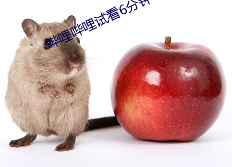 哔哩哔哩试看6分钟 （汤色）