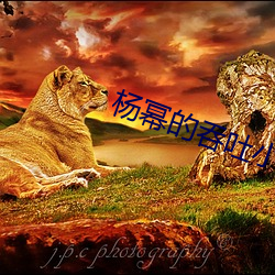 杨幂的吞吐小說