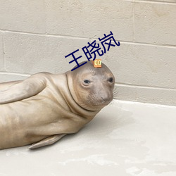 王晓岚