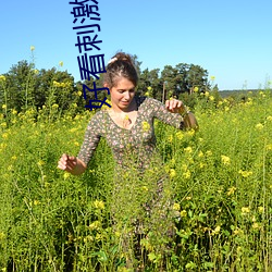 好看刺(刺)激(激)又不封号的视(視)频(頻)