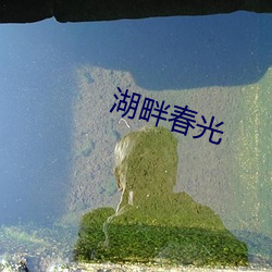 湖畔春光