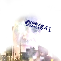 甄嬛传41