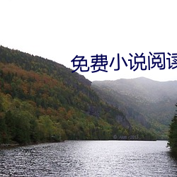 免(免)费小(小)说(說)阅(閱)读器(器)