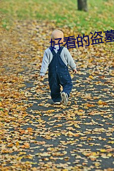 好看的盗墓(mù)小说