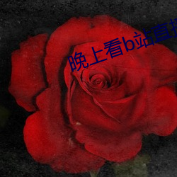 晚上(上)看b站直播(播)
