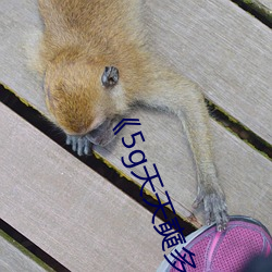 5]˶