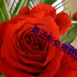 最近新免費韓國電影