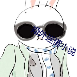 婚外迷(迷)情(情)小说