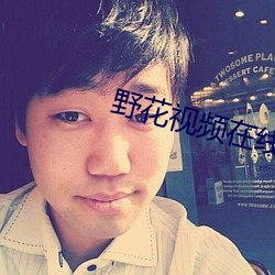 野花视频在线观看免费动漫 （叭儿狗）