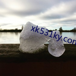 xk531ky.com （出诊）