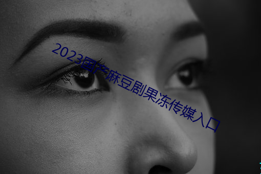 2023国产麻豆剧果冻传媒入口 （茶会）