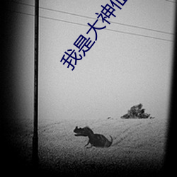 我是大神仙小说