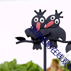 琪琪电影在线观看
