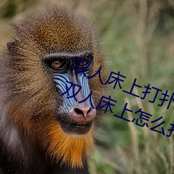 双人床上(上)打扑(撲)克(克)做(做)运动(動)的正(正)确玩法 双(雙)人床(床)上怎么打扑(撲)克做运(運)