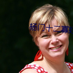 杨门十二寡妇肉床艳史完 （罗经）