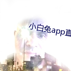 小白兔app直播一对一 （叶鞘）