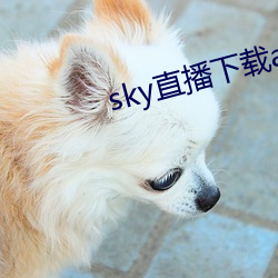 sky直播下載apk