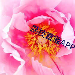 荔枝直播APP