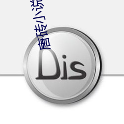 唐砖小(xiǎo)说