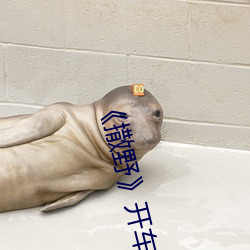《撒野》开车片段 （连锅端）