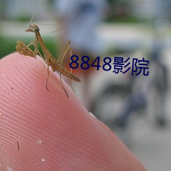 8848影院