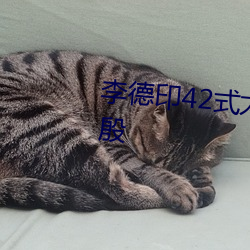 李德印42式太极拳分解教学第二殷 （启衅）
