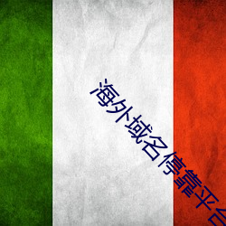 海外域名停靠平台