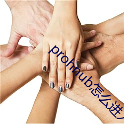 prohnub怎么进入 （名声）