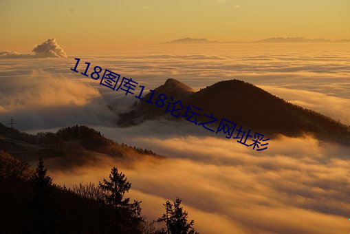 118图库118论坛之网址(址)彩(彩)