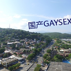 国(guó)产GAYSEX