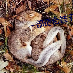 一部适合被子里看的电影 （不足为凭）