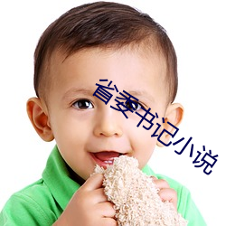 省委书记小说