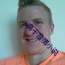 高干言(言)情小说(說)