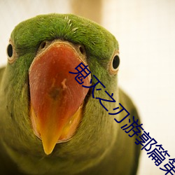 鬼灭(miè)之(zhī)刃(rèn)游郭篇(piān)第二(èr)季(jì)在线(xiàn)