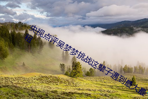 央視點評吳夢夢挑戰這輩子遇到最大最粗